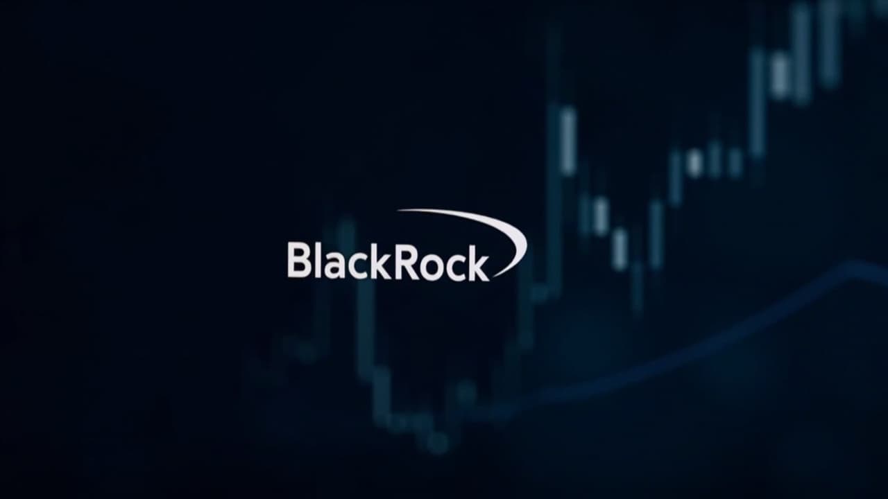 BLK 單股深度分析