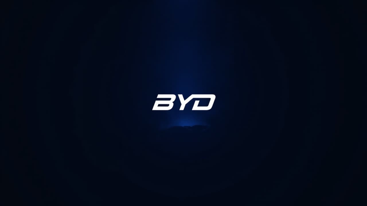 BYD 單股深度分析