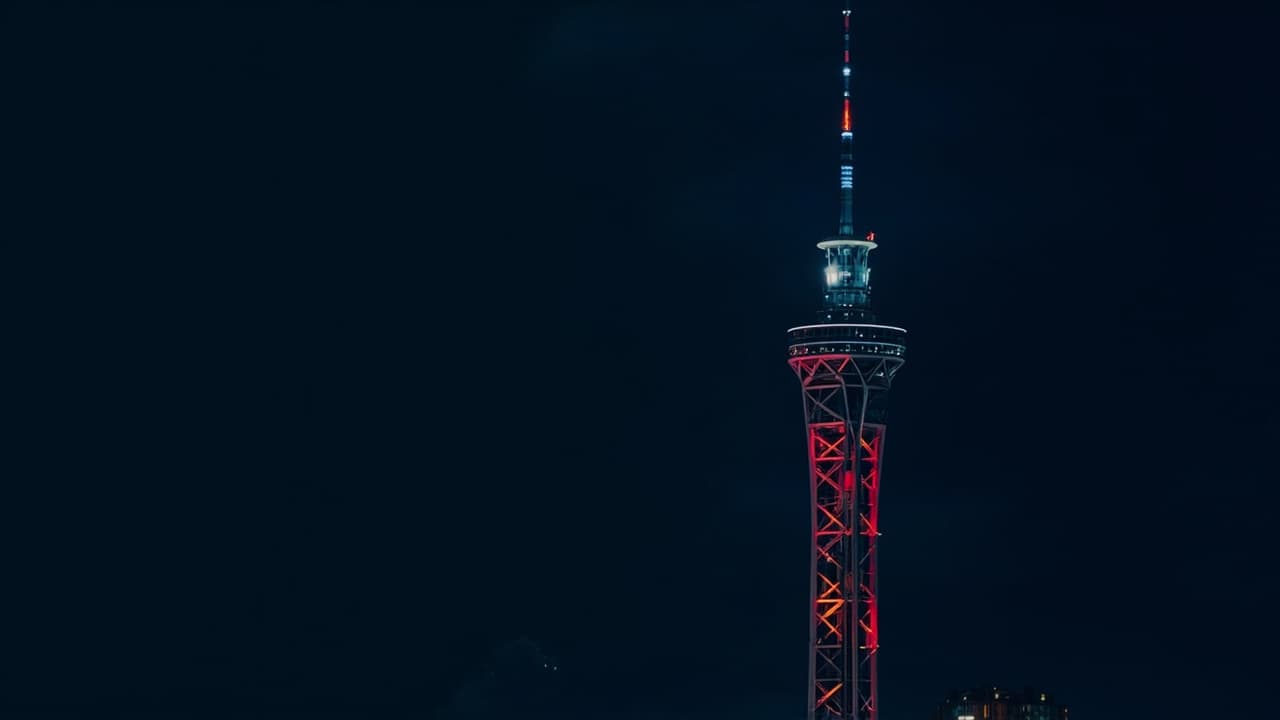VZ 單股深度分析